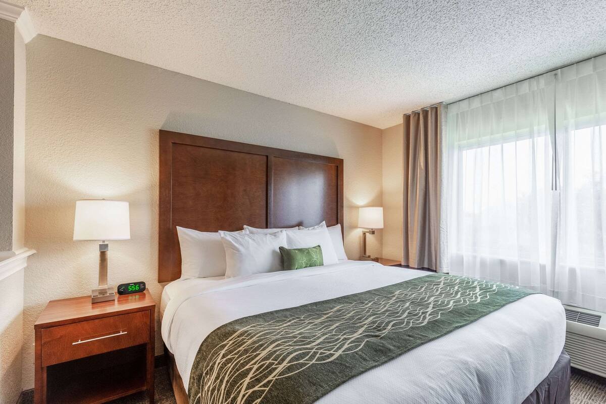 Habitación de hotel con una cama grande, dos mesitas de noche, una lámpara de noche, una manta verde y una ventana con cortinas traslúcidas.