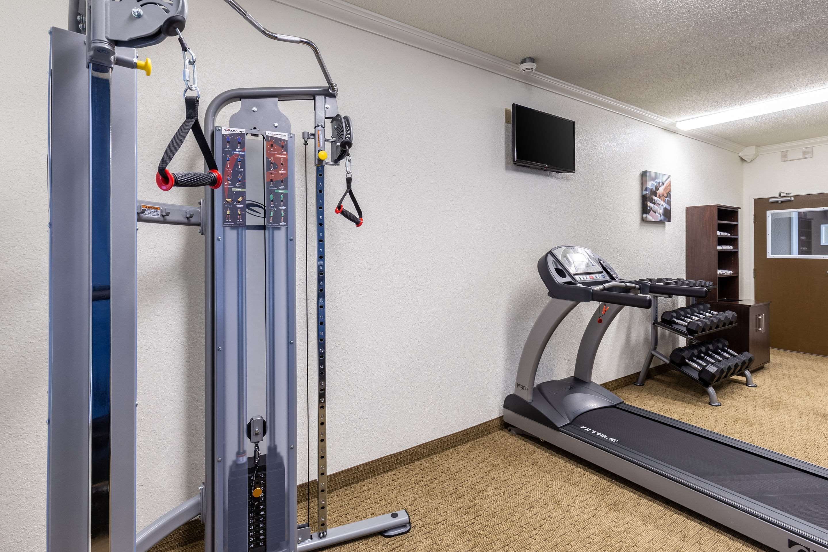 Une salle de sport équipée de tapis de course, d’appareils de musculation et d’haltères.