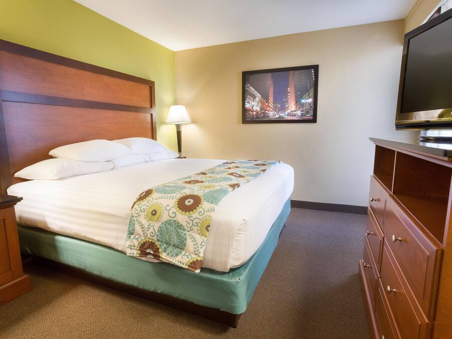 A hotel room with a bed, a television, a lamp, and a dresser.