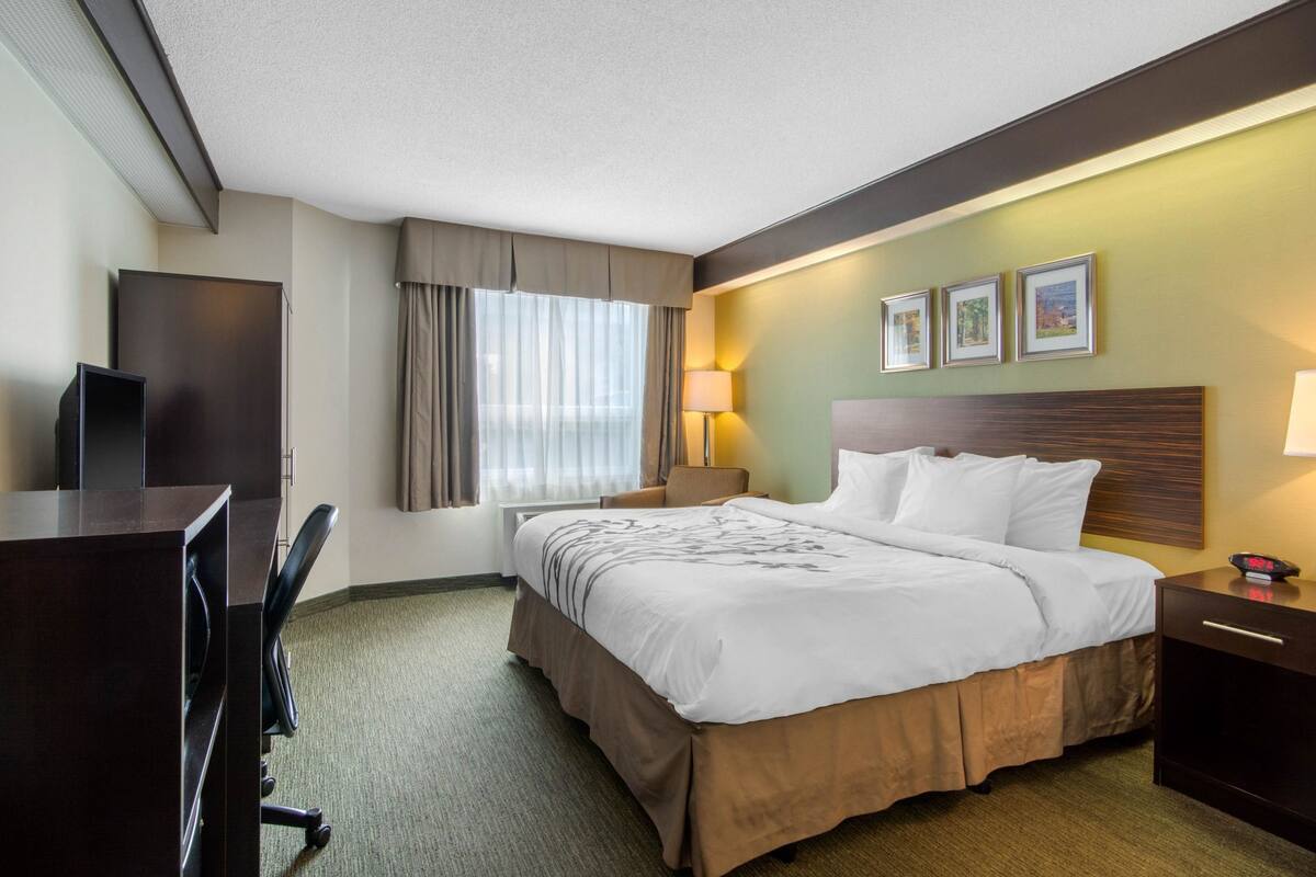 Une chambre d’hôtel avec un lit, un bureau, une chaise, une télévision et une lampe.