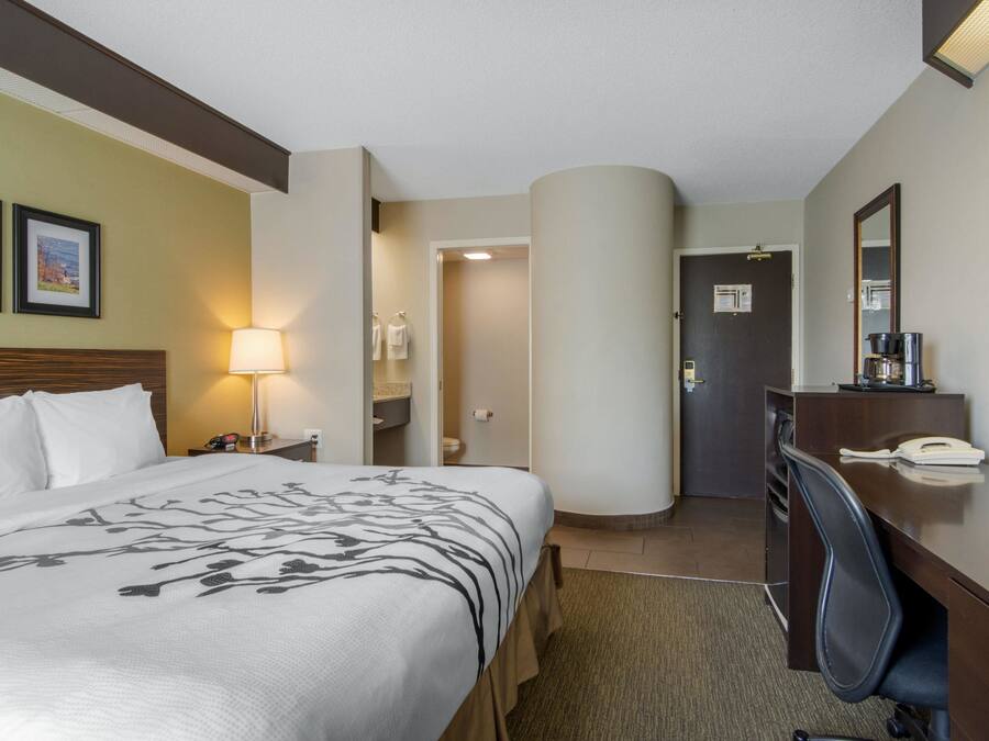 Una habitación de hotel con una cama grande, un escritorio, una silla, una lámpara y un espejo.