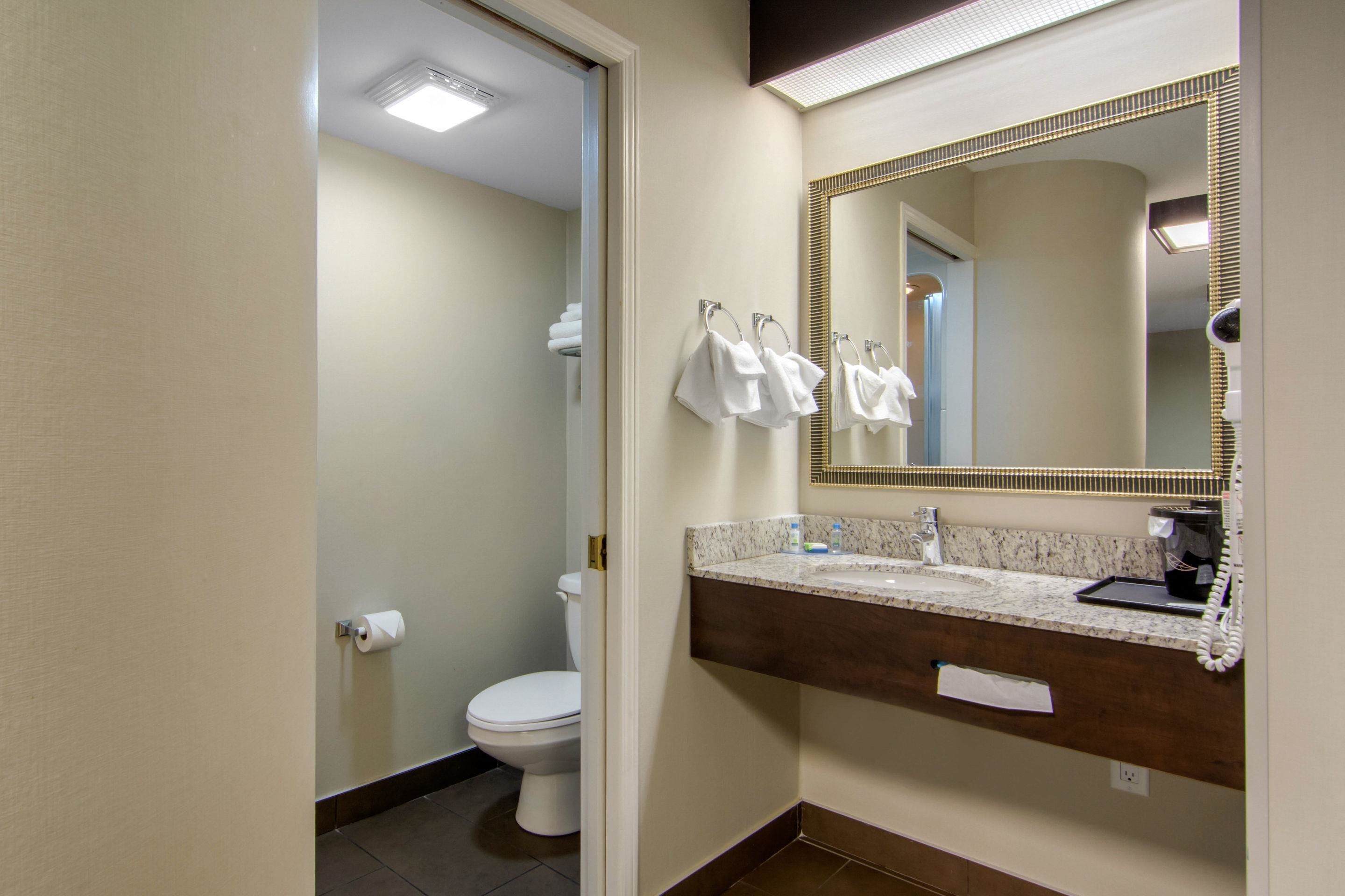 suite, 1 king bed with sofa bed, non smoking | bathroom | combined shower/bathtub, free toiletries, hair dryer, towels