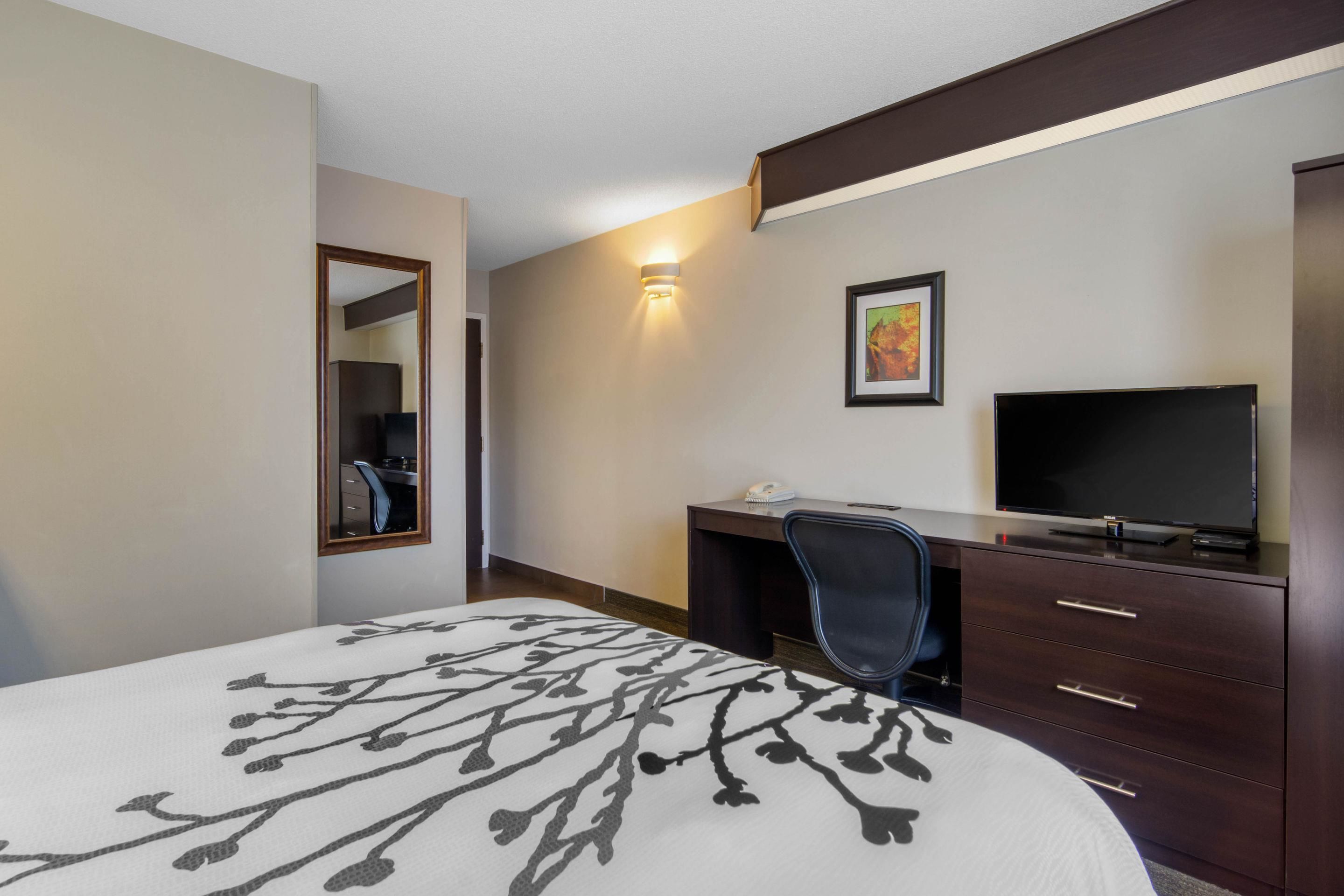 Habitación de hotel con cama, escritorio, silla, televisor y espejo.