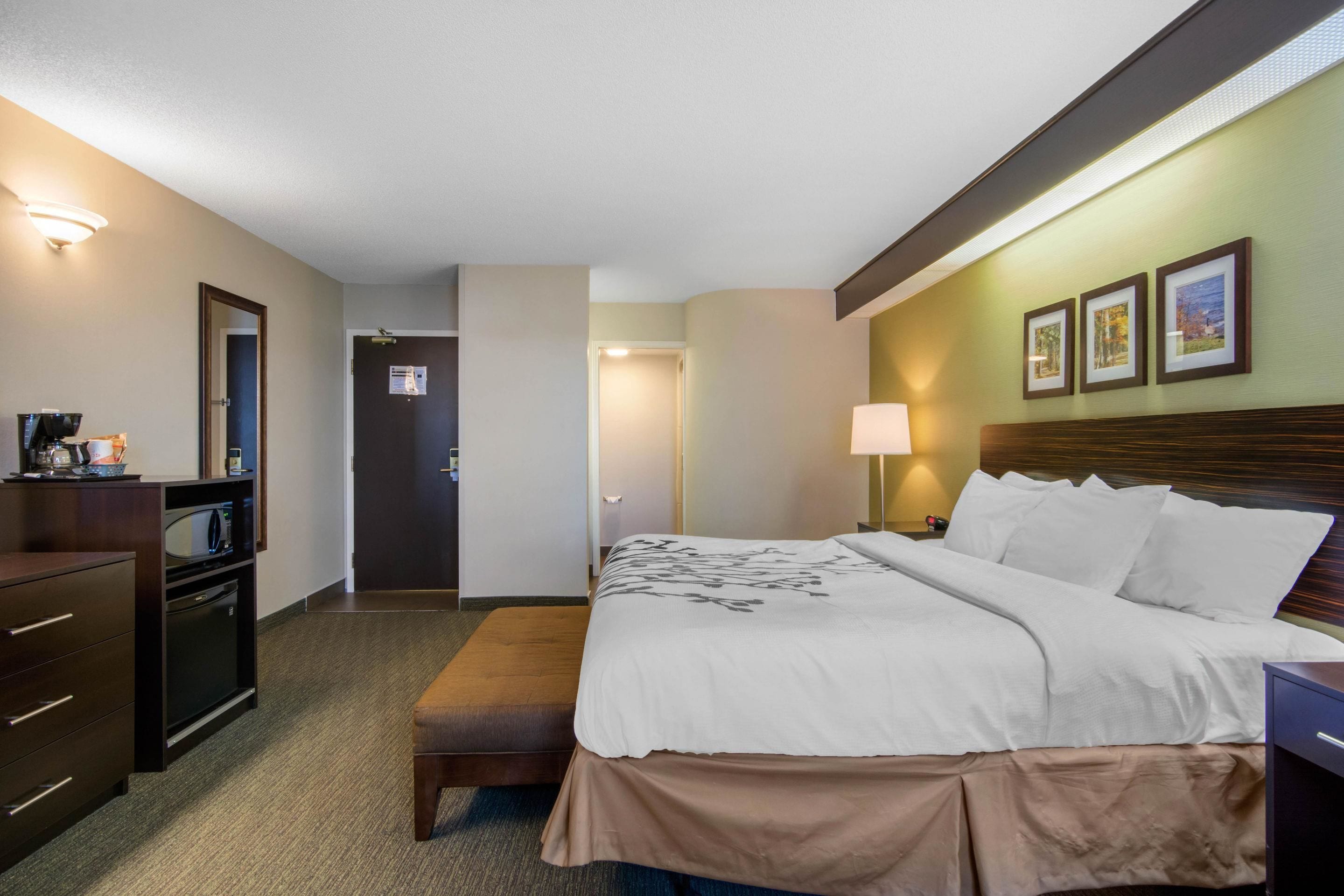 Una habitación de hotel con cama, escritorio, cómoda y espejo.