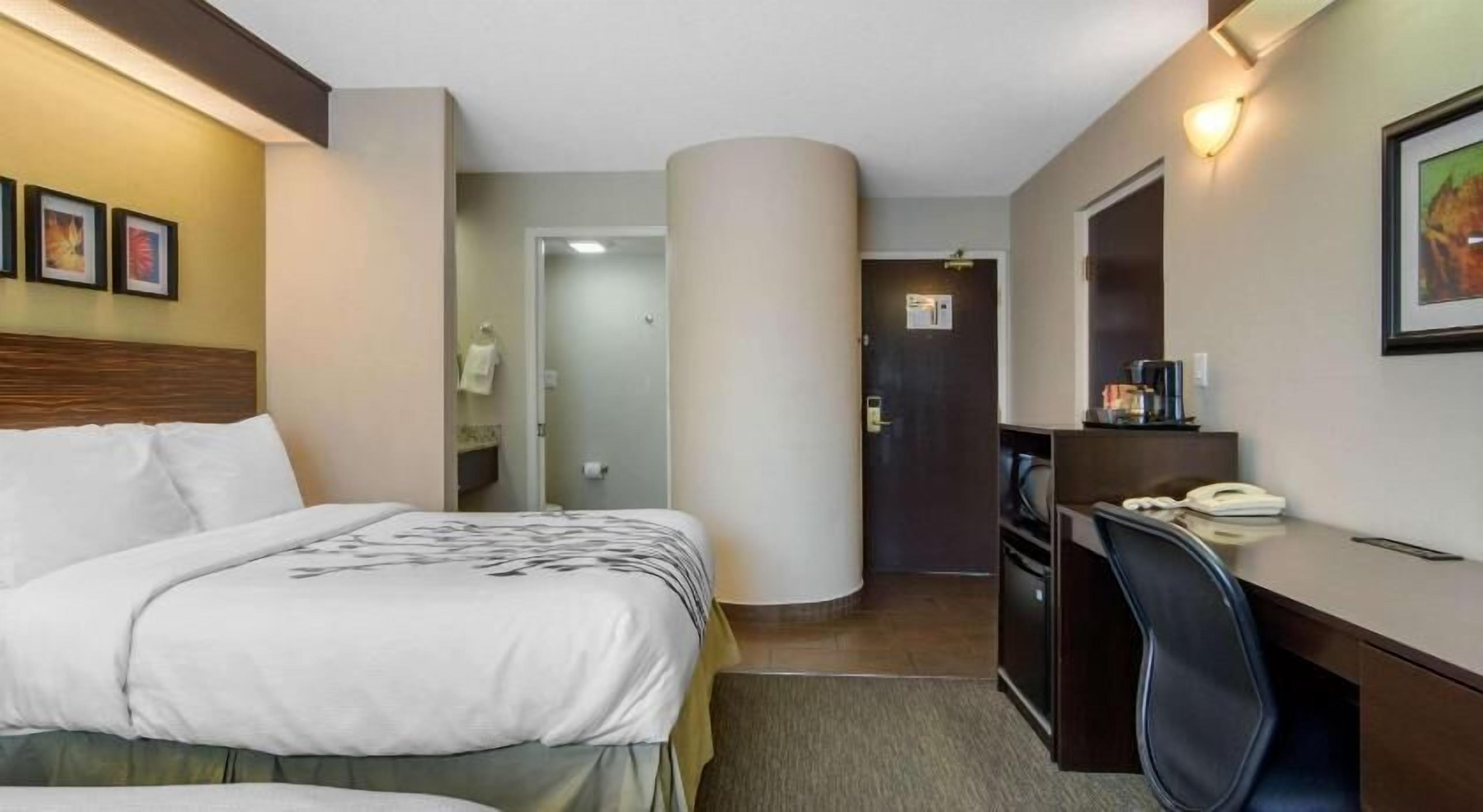 Desk, soundproofing, iron/ironing board, free WiFi