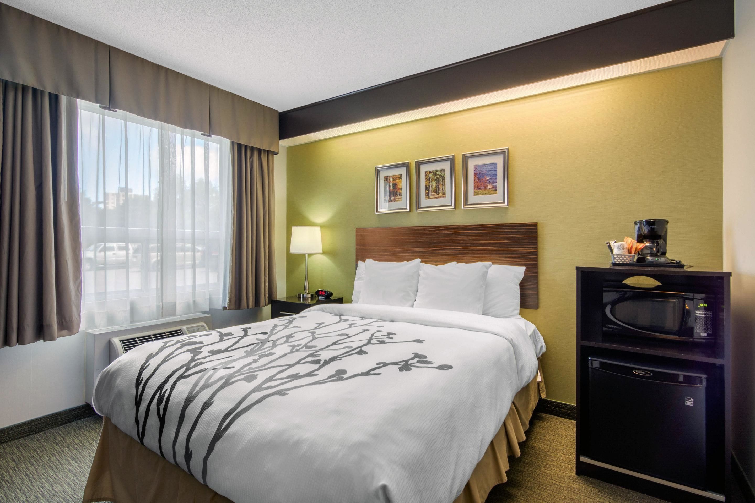 accessible room, 1 queen bed, ground floor  | desk, soundproofing, iron/ironing board, free wifi