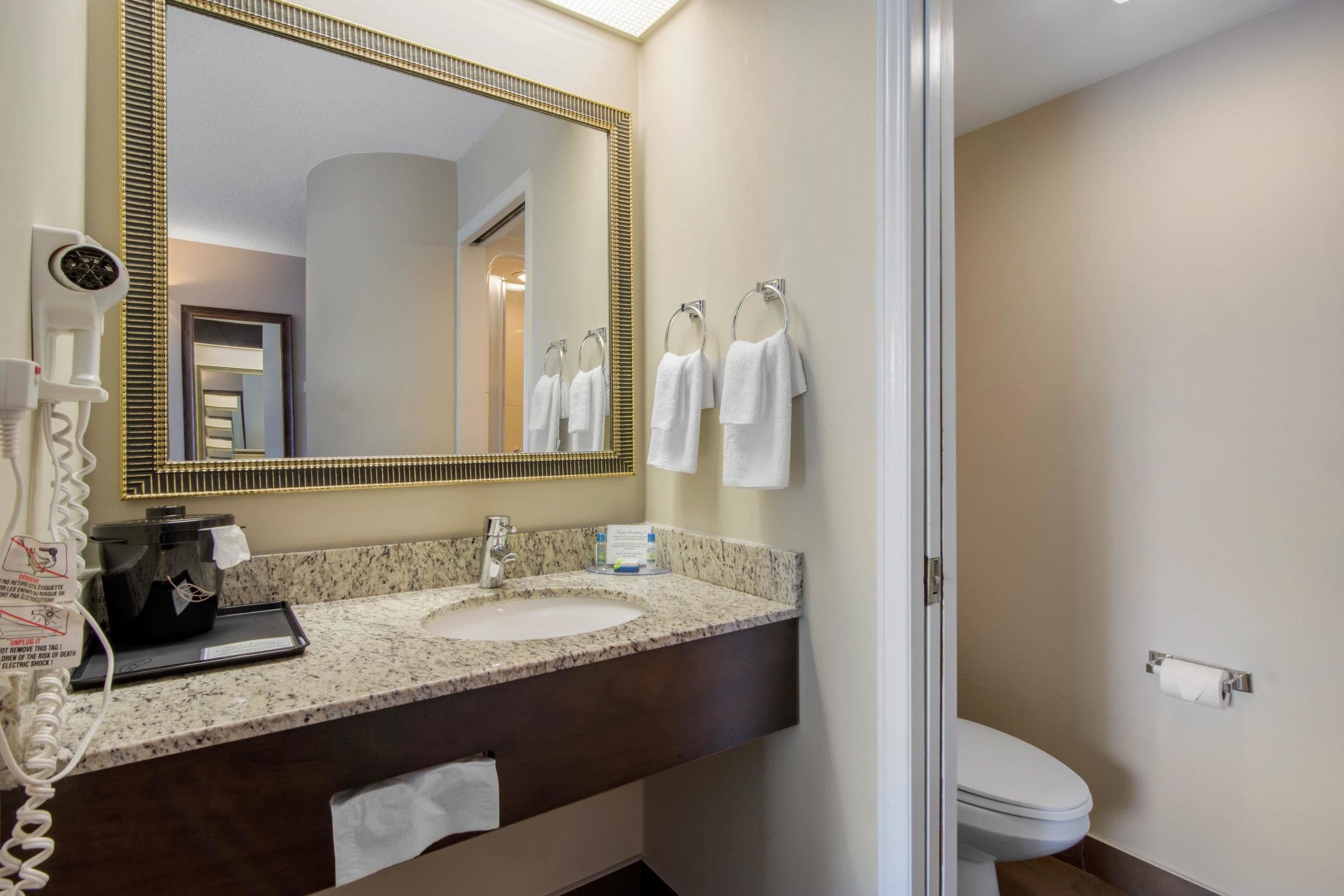 combined shower/bathtub, free toiletries, hair dryer, towels