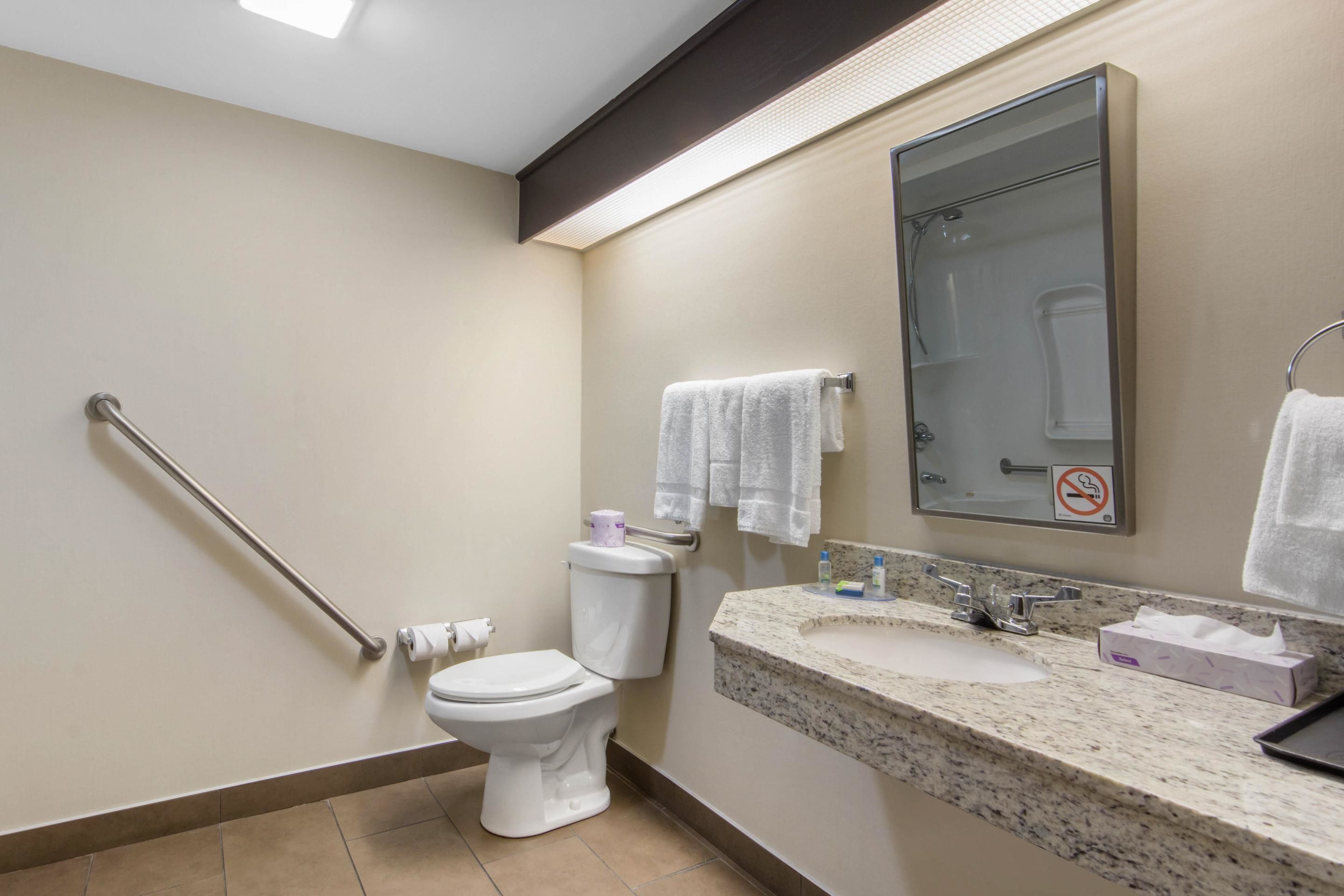 accessible room, 1 queen bed, ground floor  | bathroom | combined shower/bathtub, free toiletries, hair dryer, towels