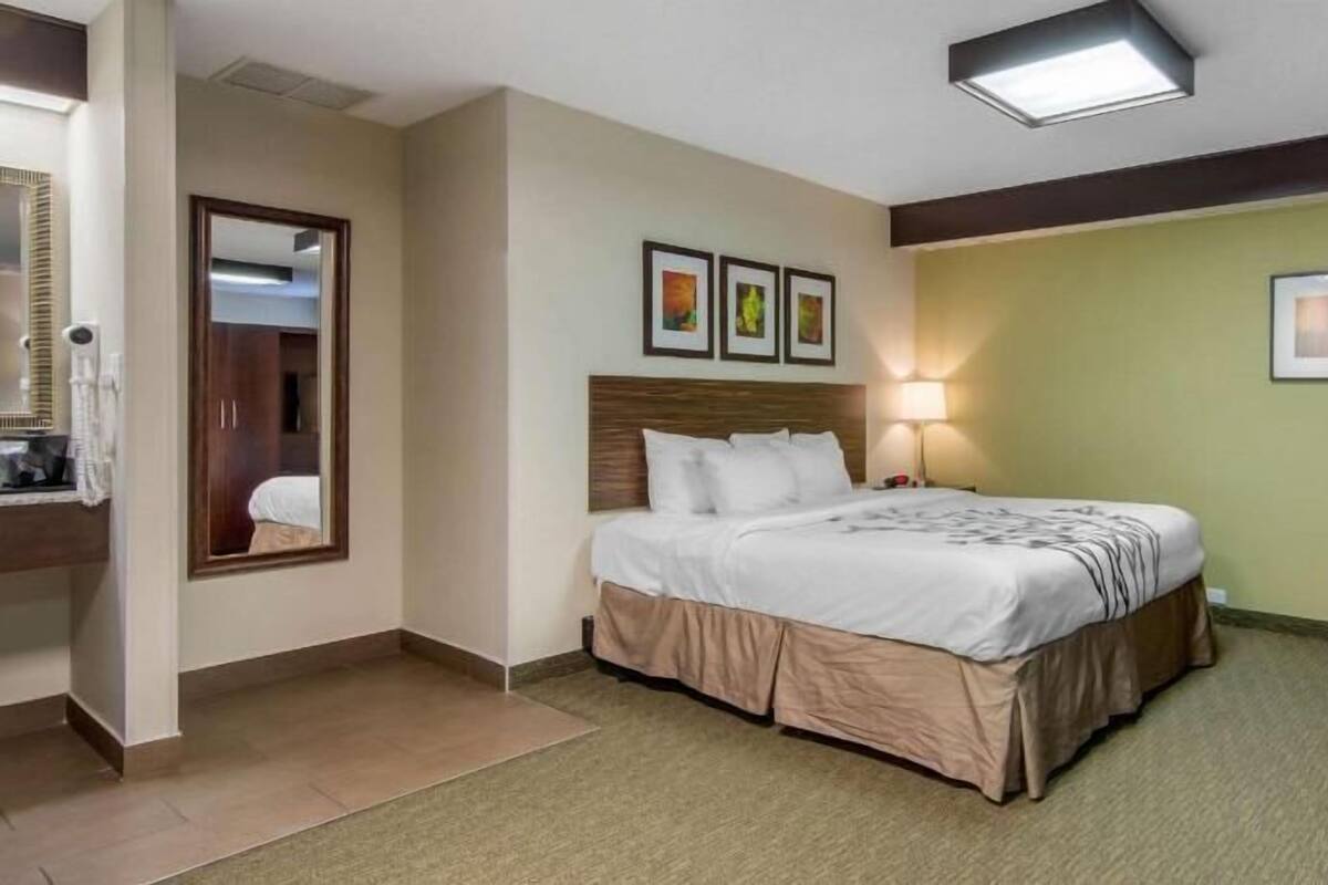 Desk, soundproofing, iron/ironing board, free WiFi