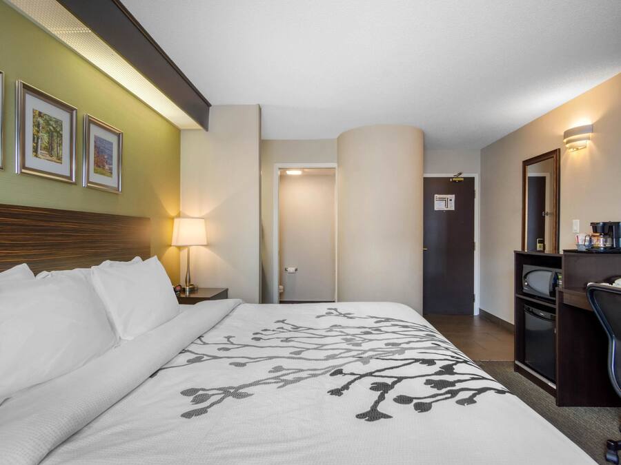 Desk, soundproofing, iron/ironing board, free WiFi