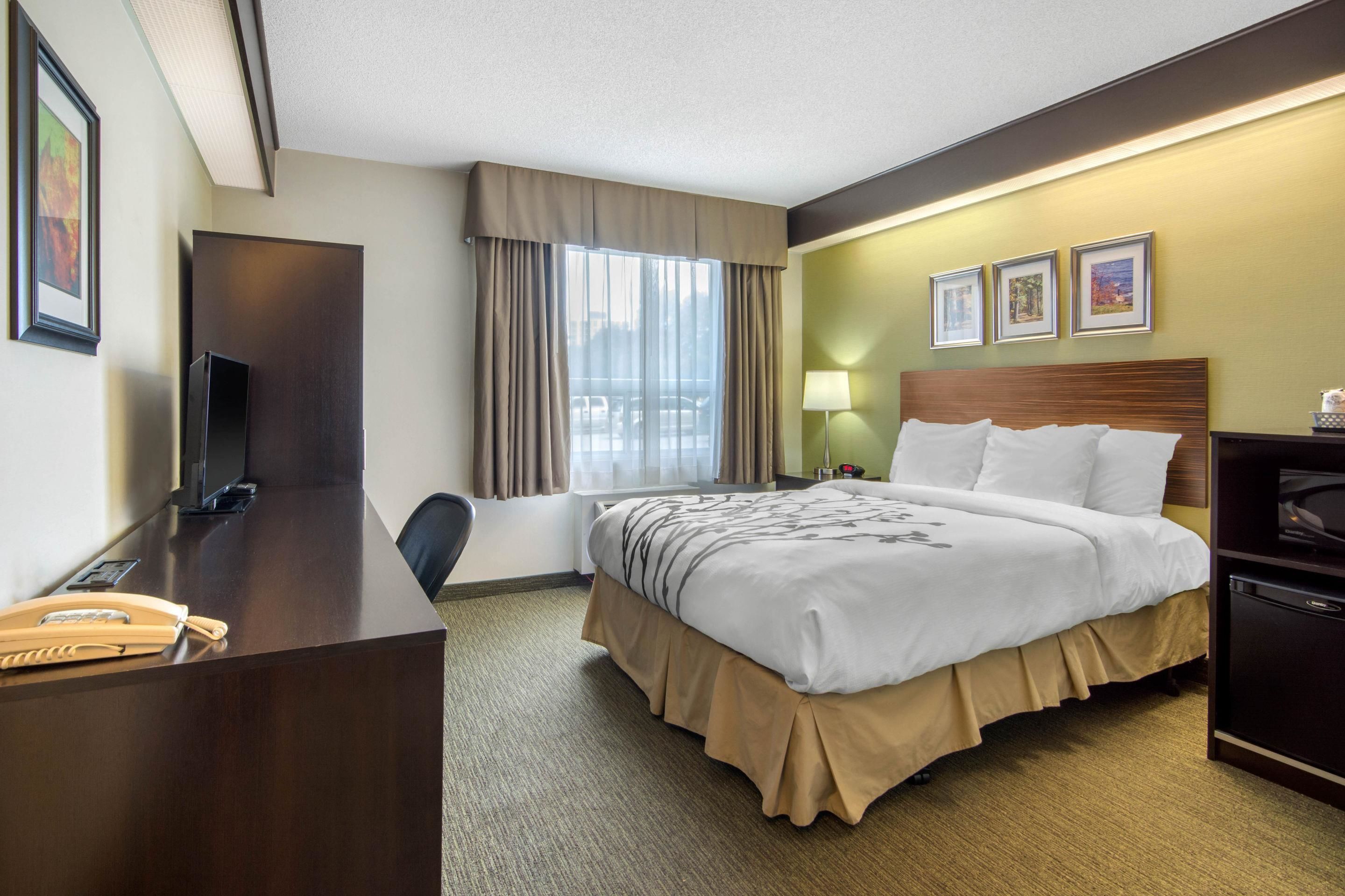 Escritorio, insonorización, tabla de planchar con plancha y wifi gratis 