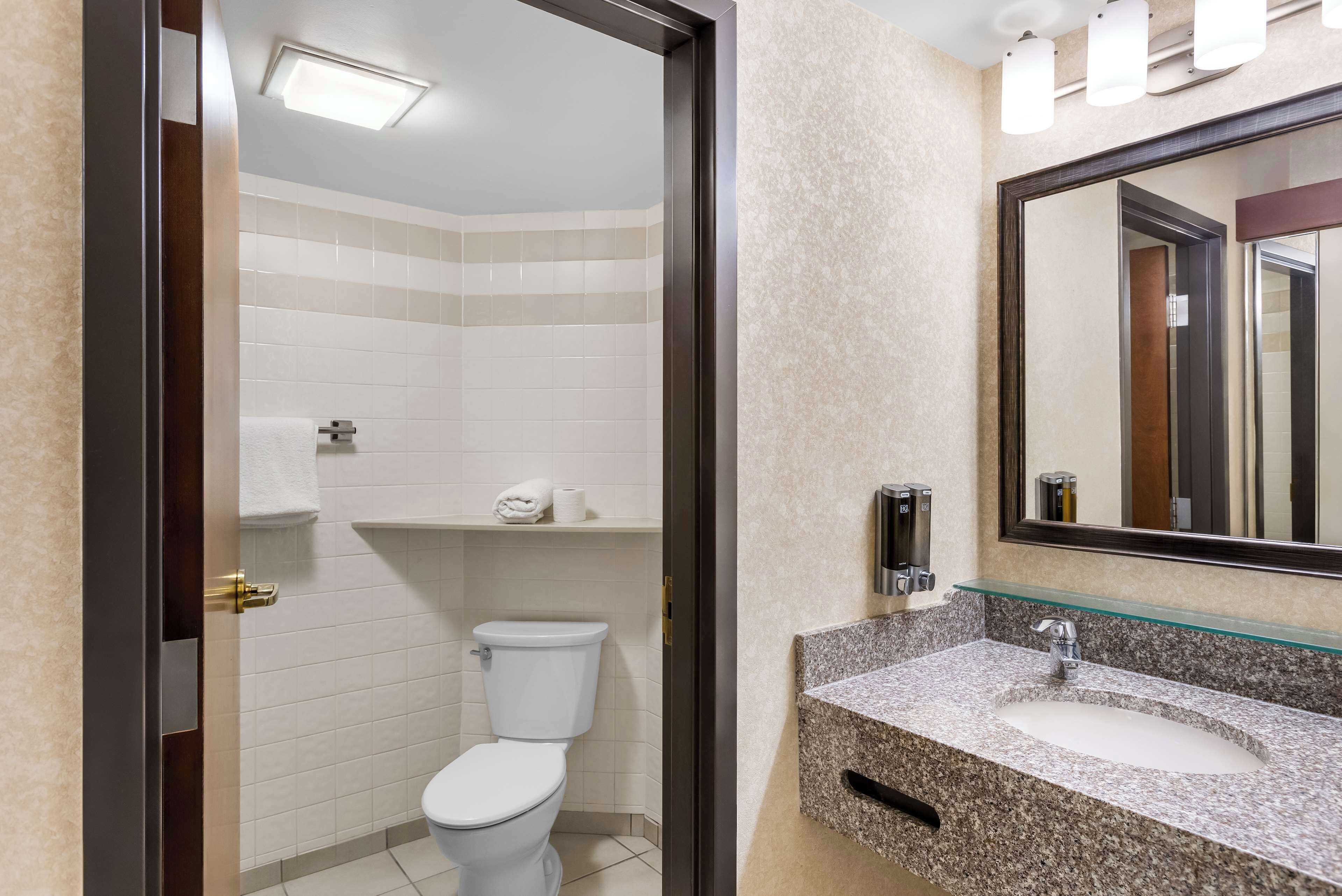 combined shower/bathtub, free toiletries, hair dryer, towels