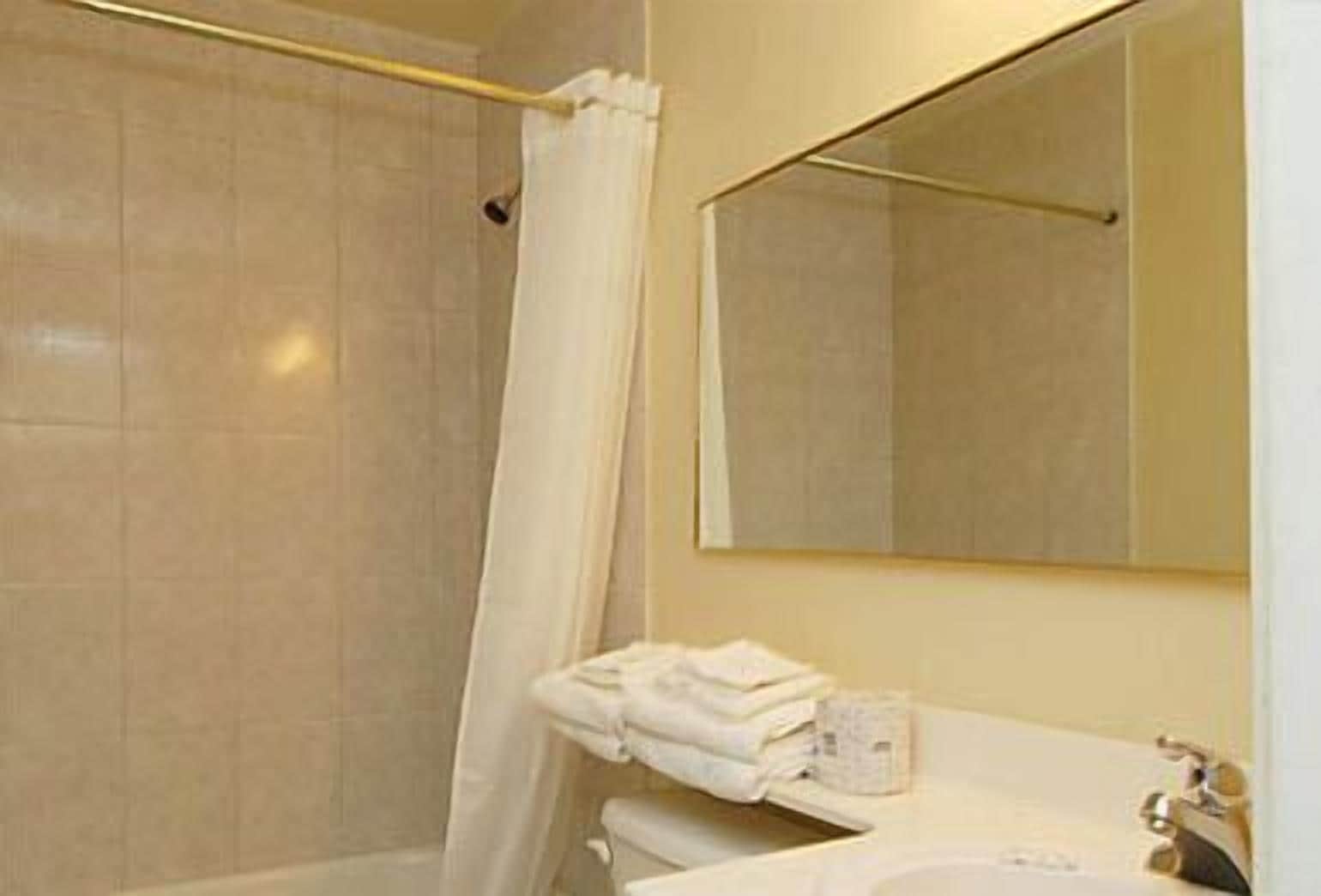 A bathroom with a shower, a toilet, and a sink with a mirror above it.