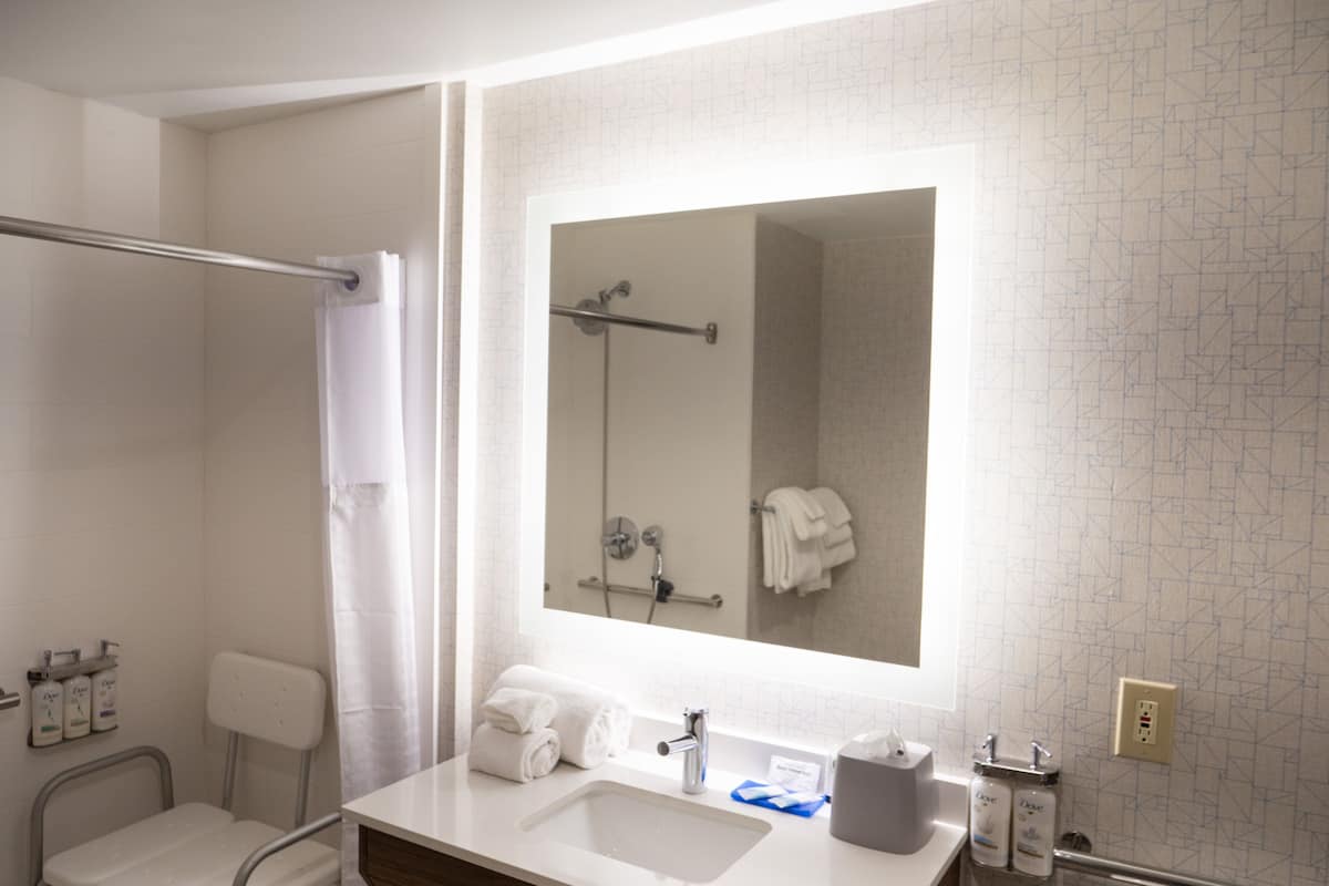 standard room, 1 king bed, accessible (mobility, roll-in shower) | bathroom | combined shower/bathtub, eco-friendly toiletries, hair dryer, towels