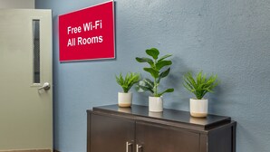 A room with a door, a cabinet with three potted plants, and a red sign stating "Free Wi-Fi All Rooms".