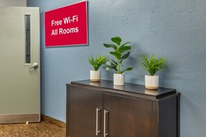 Une pièce avec une porte, un meuble contenant trois plantes en pot et un panneau rouge indiquant : « Wi-Fi gratuit dans toutes les chambres ».