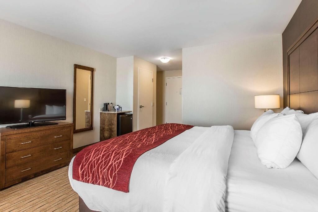 Premium bedding, iron/ironing board, free WiFi, bed sheets