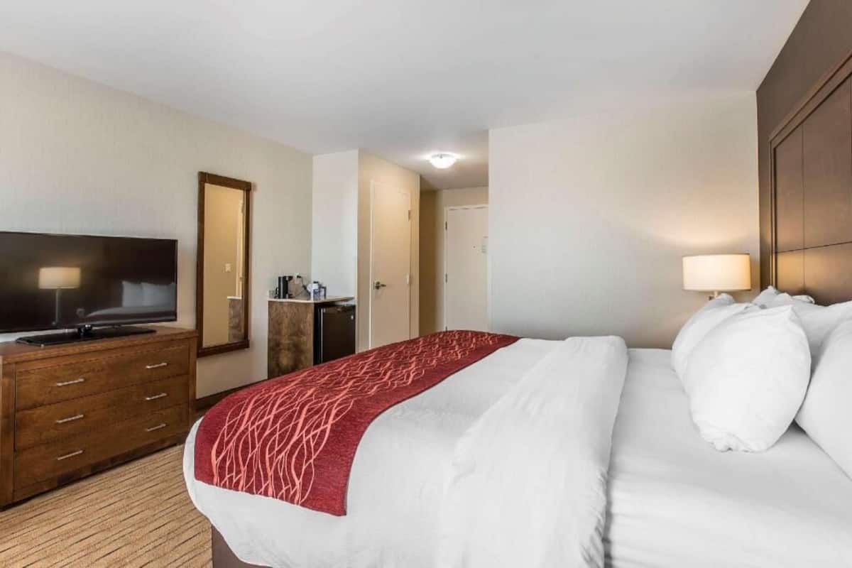 Premium bedding, iron/ironing board, free WiFi, bed sheets