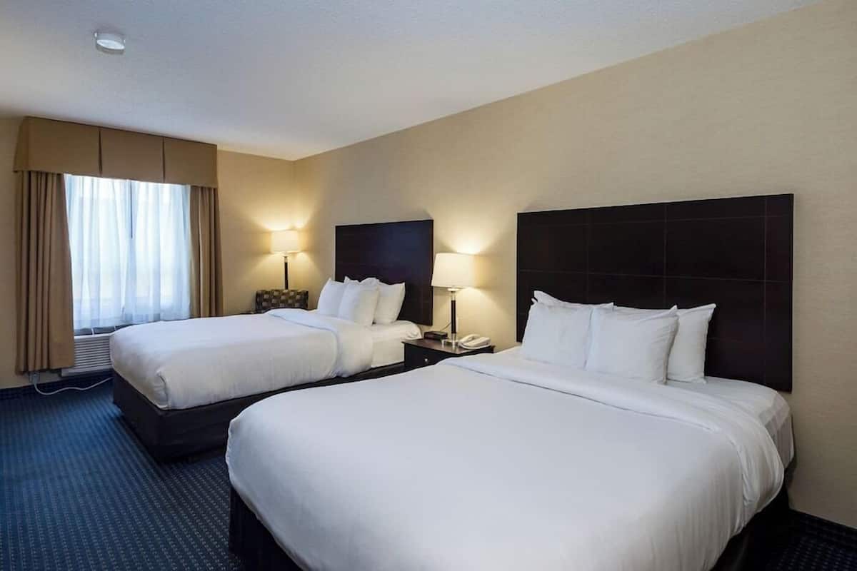Premium bedding, iron/ironing board, WiFi (free), alarm clocks