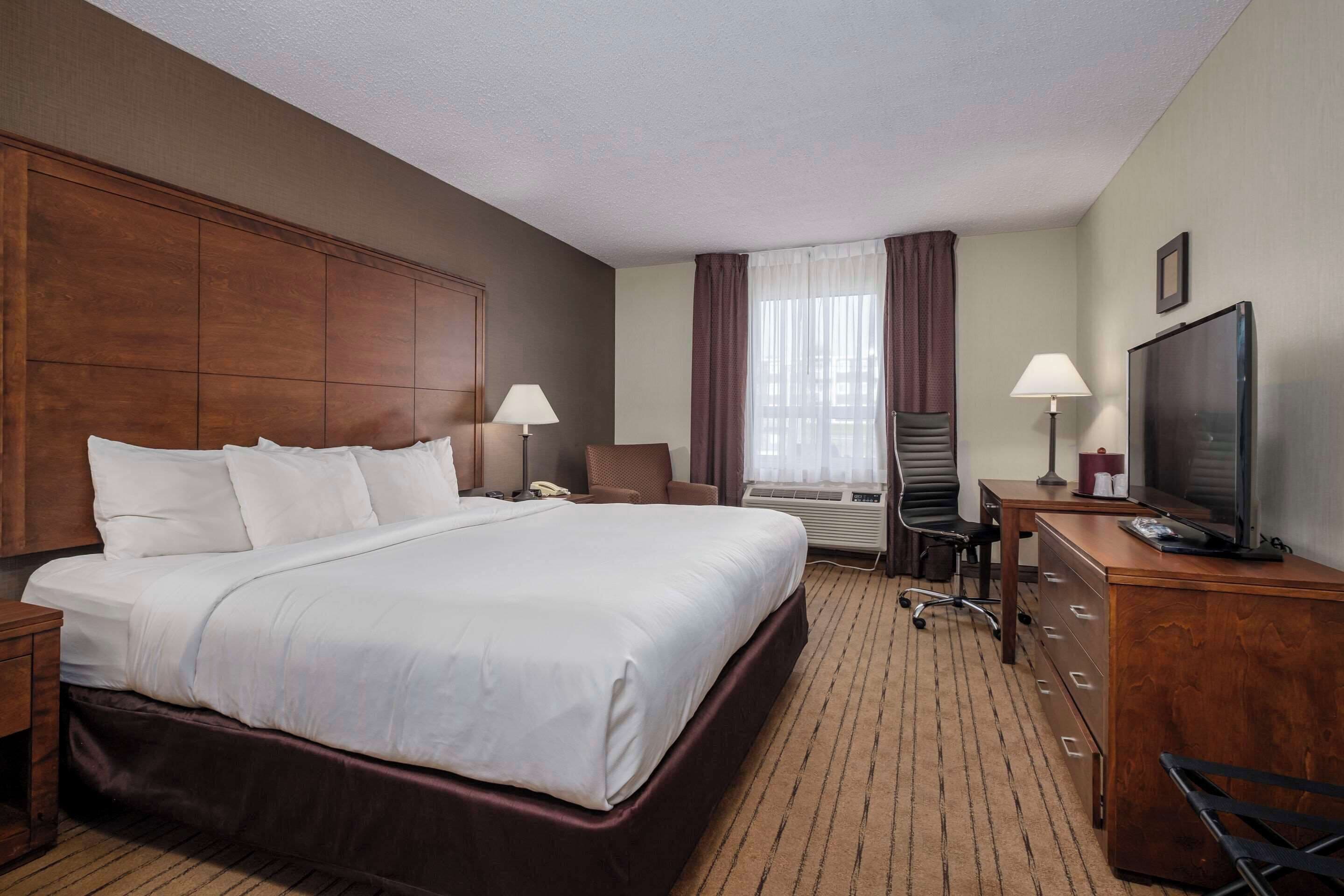 premium bedding, iron/ironing board, free wifi, bed sheets