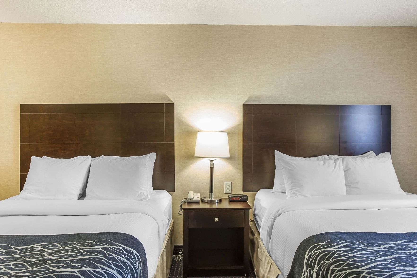Premium bedding, iron/ironing board, free WiFi, bed sheets