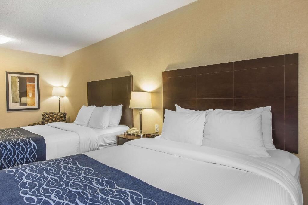 Premium bedding, iron/ironing board, free WiFi, bed sheets
