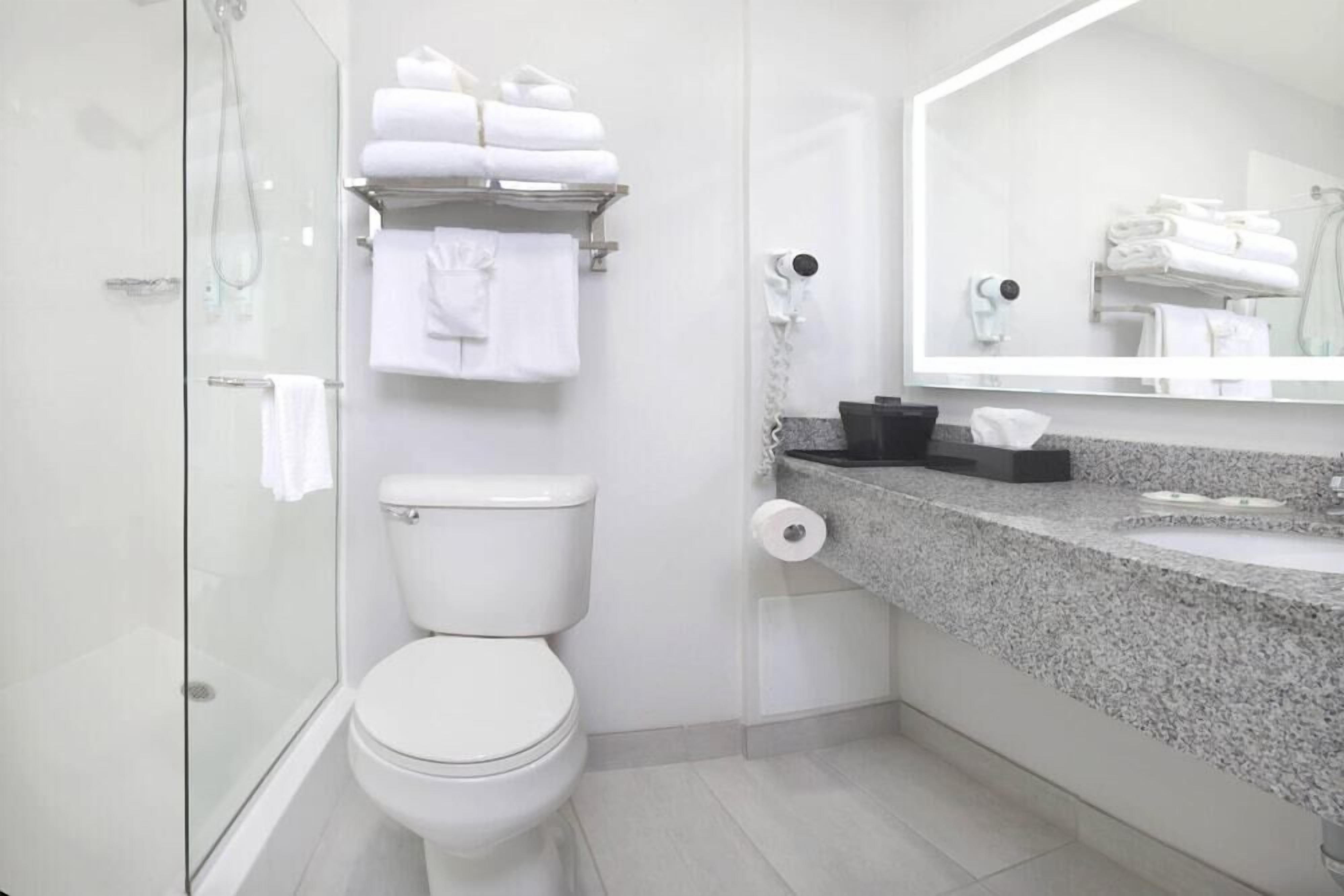Bathroom | Combined shower/tub, free toiletries, hair dryer, towels