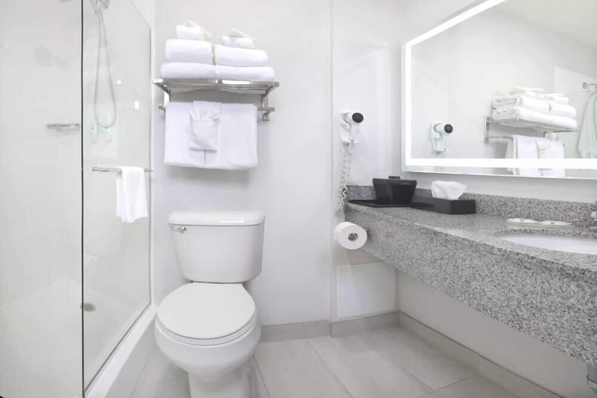 A modern bathroom with a glass shower enclosure, a toilet, a sink with a granite countertop, and a mirror.