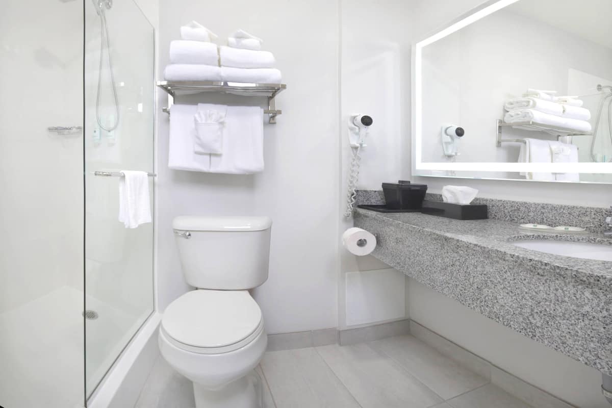 A modern bathroom with a glass shower enclosure, a toilet, a sink with a granite countertop, and a mirror with a towel rack above it.