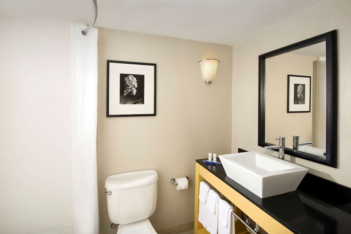 Bathroom | Combined shower/tub, free toiletries, hair dryer, towels