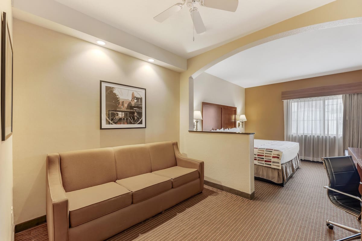 Phòng Suite, 1 giường cỡ king, phù hợp cho người khuyết tật, không hút thuốc (with Sofabed) | Màn/rèm cản sáng, bàn ủi/dụng cụ ủi quần áo