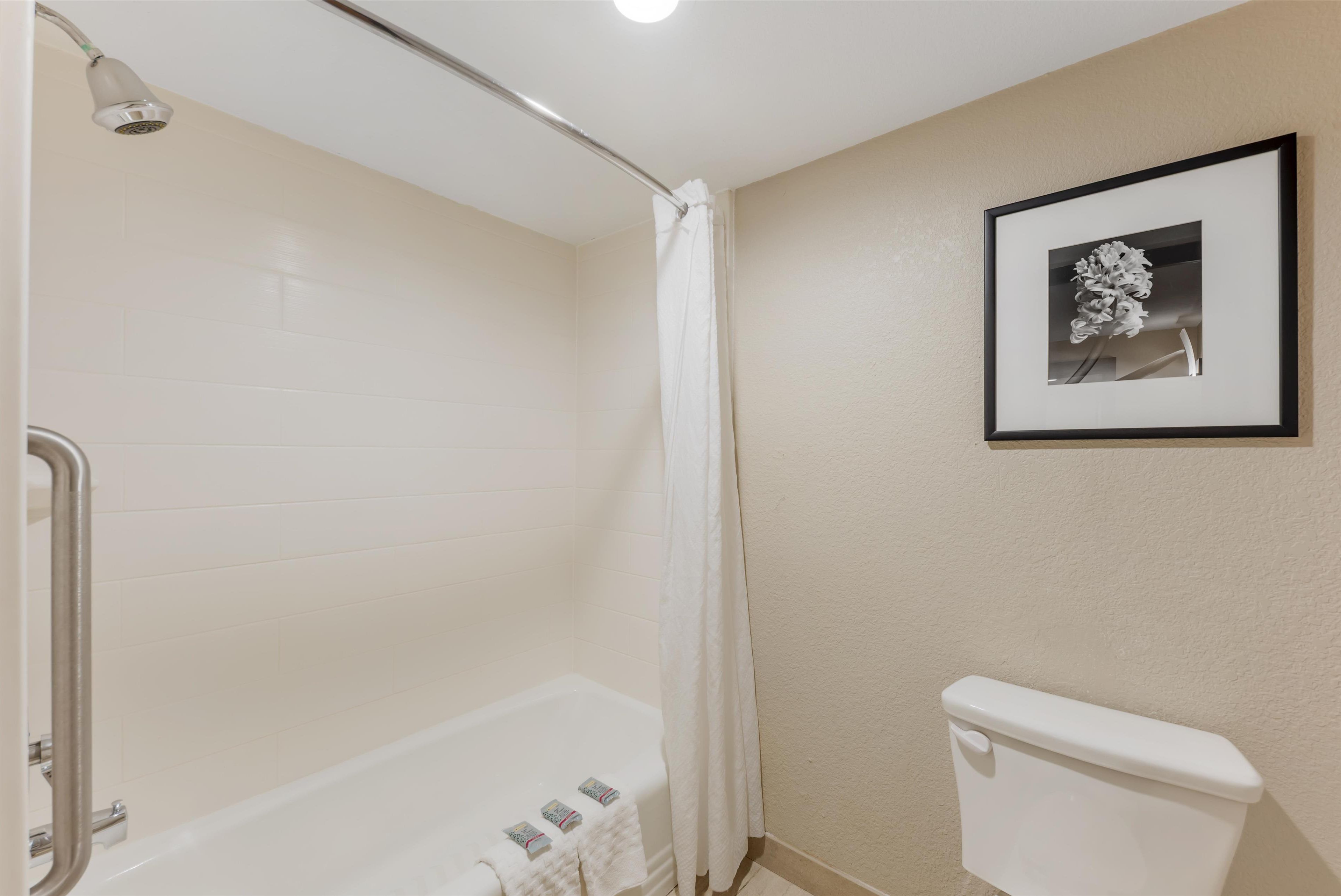 Un baño con bañera, inodoro y un cuadro en la pared.