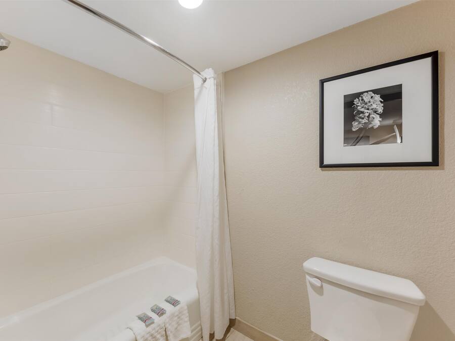 Un baño con bañera, inodoro y un cuadro en la pared.