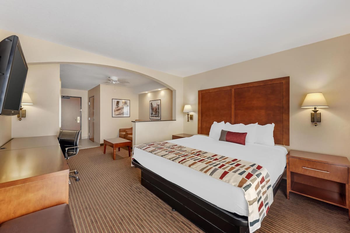 A hotel room with a large bed, a desk, a chair, a TV, and a nightstand.