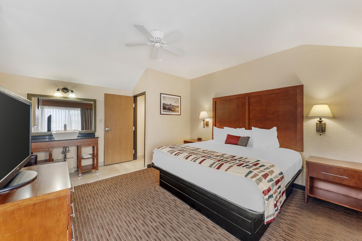 A hotel room with a bed, a desk with a mirror, a television, a ceiling fan, and a nightstand with a lamp.