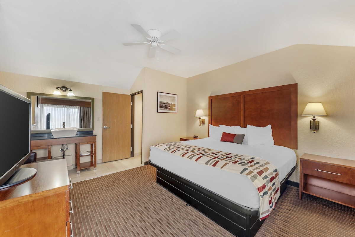 A hotel room with a bed, a desk with a mirror, a television, a ceiling fan, and a nightstand with a lamp.