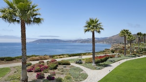 Un jardín ajardinado con palmeras, un sendero y vista al océano.