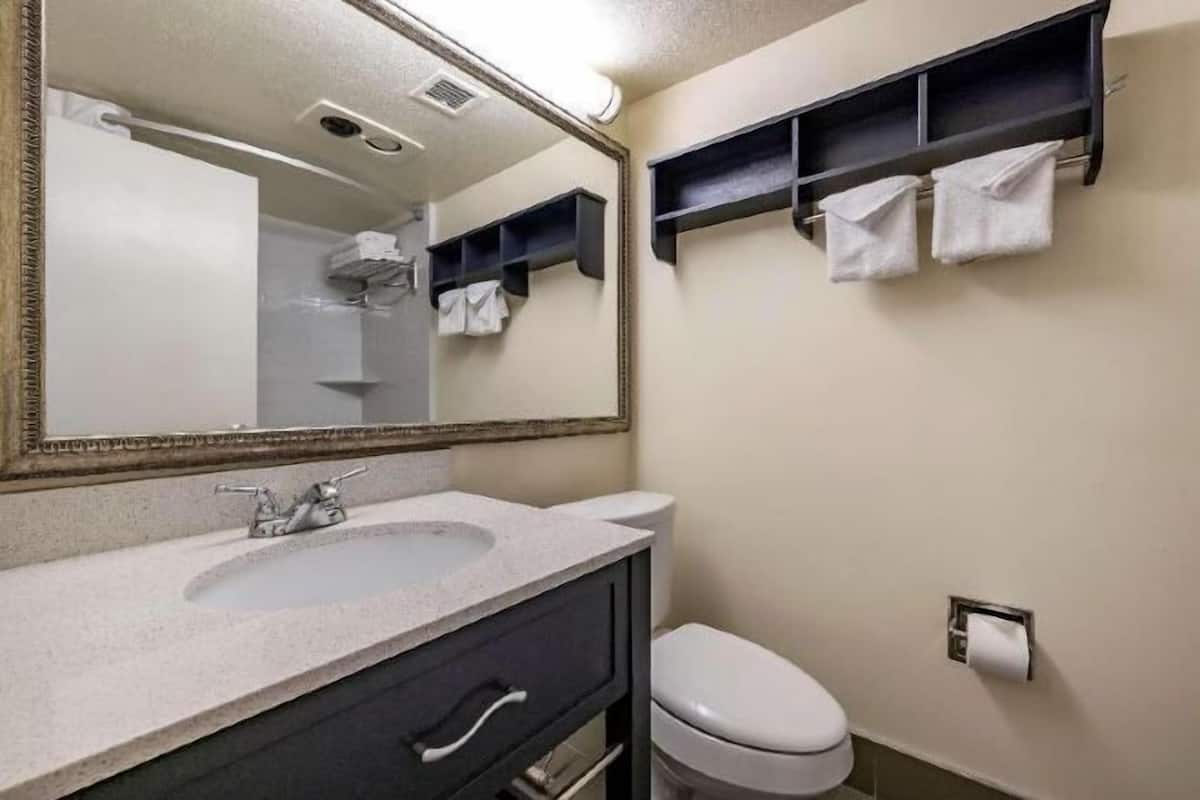 Bathroom | Combined shower/tub, free toiletries, hair dryer, towels