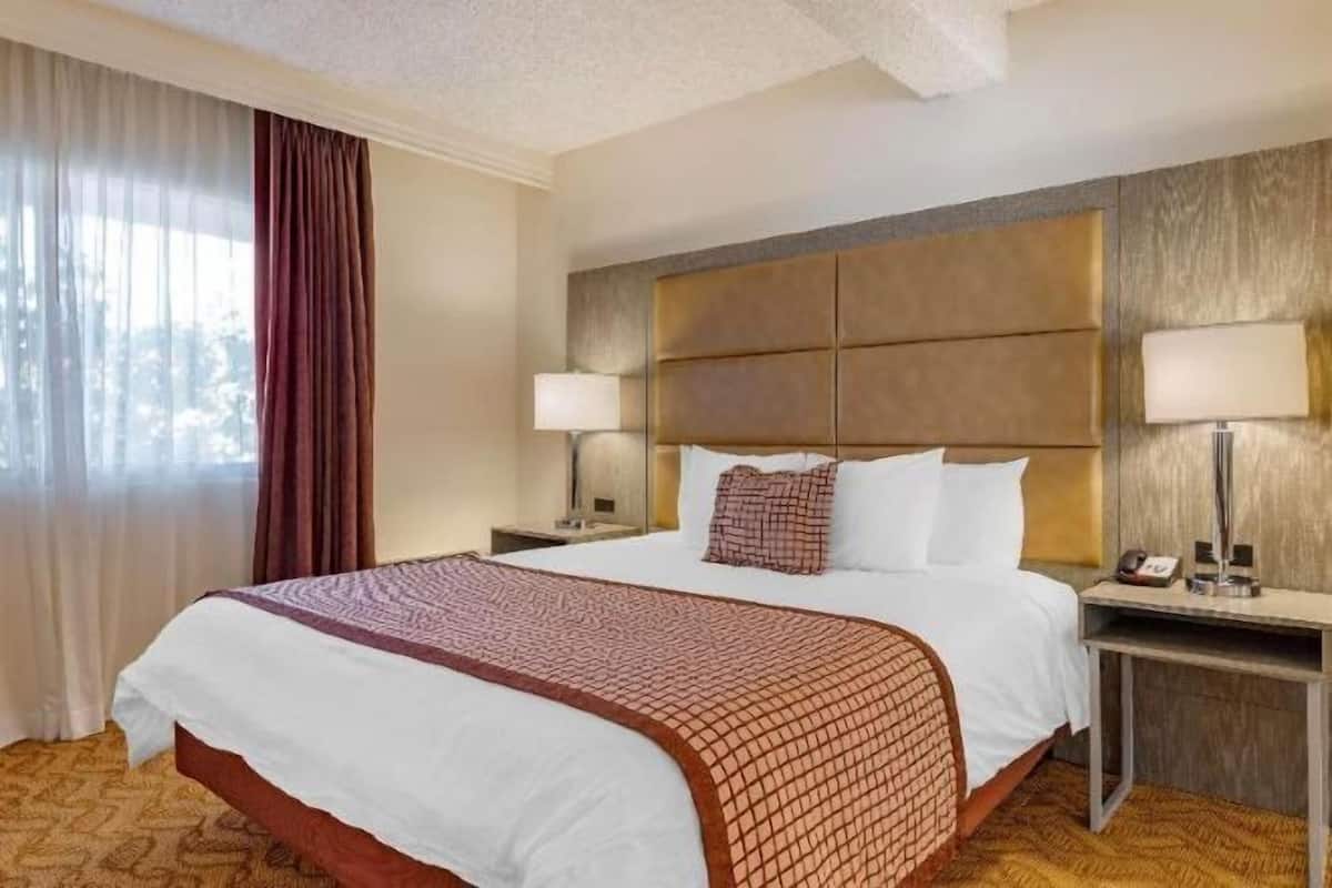 Premium bedding, pillowtop beds, in-room safe, desk