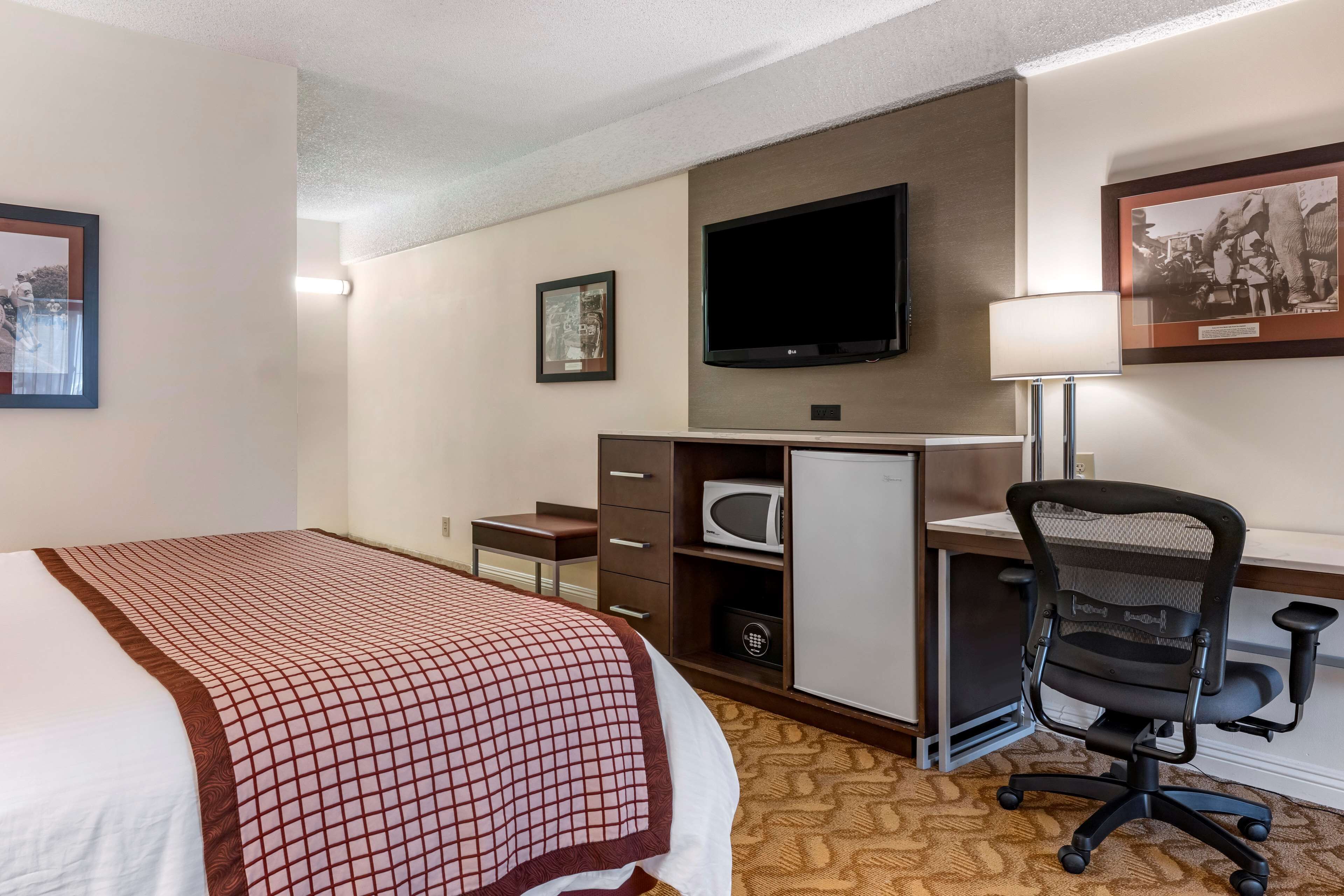 A hotel room with a bed, desk, chair, television, and microwave.
