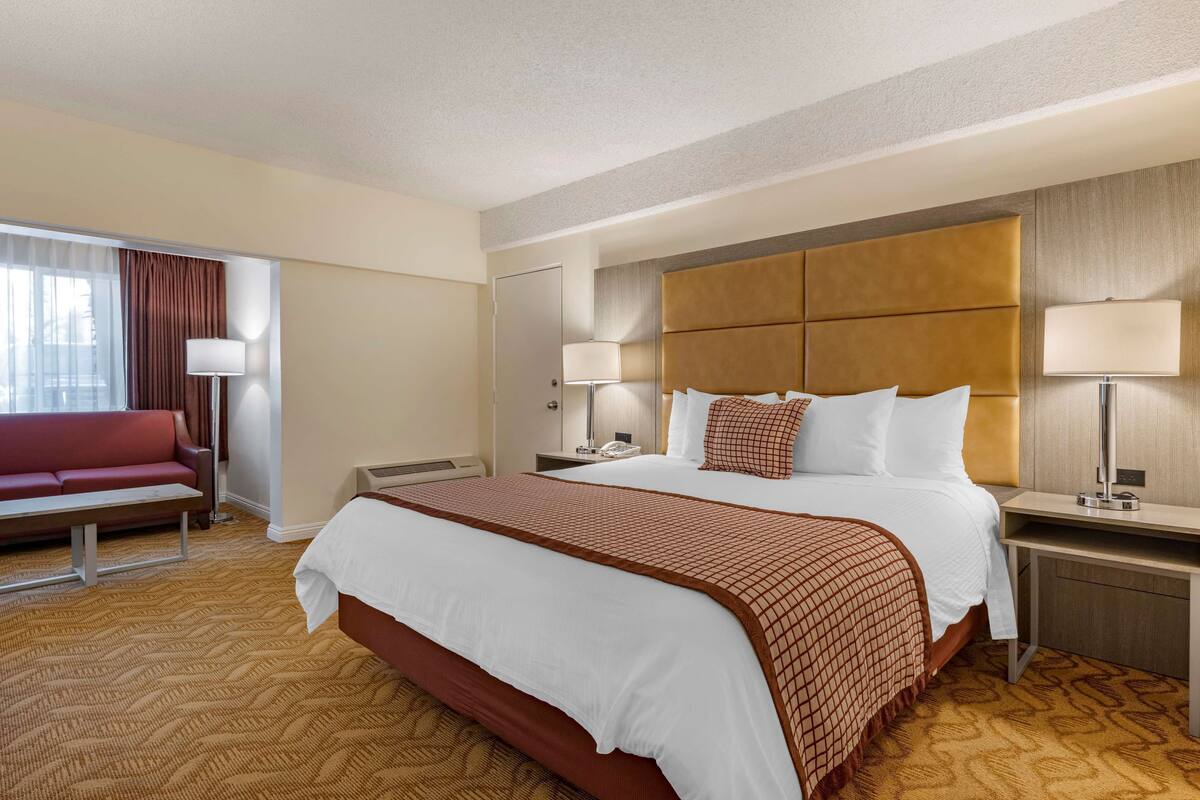 A hotel room with a large bed, a desk, a chair, a sofa, and a window with curtains.