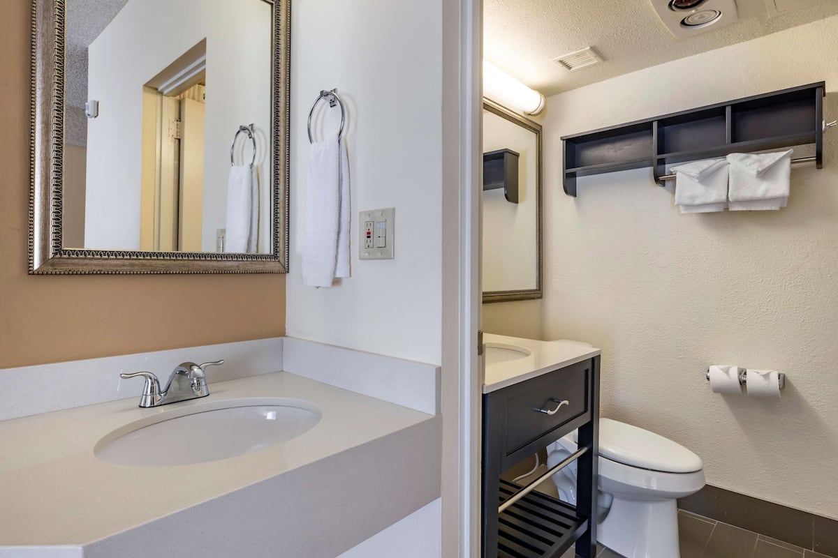 suite, 1 king bed, patio, ground floor (dining table;living room; sofabed) | premium bedding, pillow-top beds, in-room safe, desk