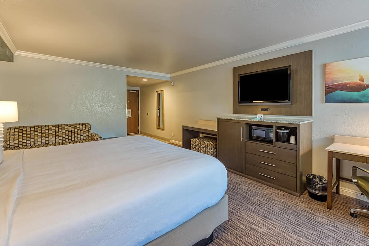 Standard Room, 1 King Bed, Accessible, Non Smoking (Roll-In Shower) | Hypo-allergenic bedding, desk, blackout drapes, iron/ironing board
