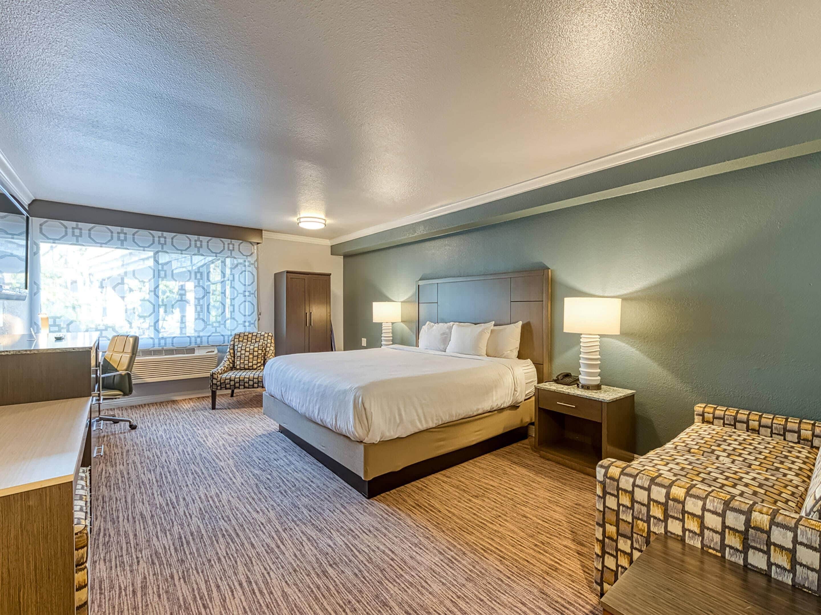 标准房, 1 张特大床, 无障碍, 无烟房 (Roll-In Shower) | 防过敏的被褥、办公桌、遮光窗帘、熨斗/熨衣板