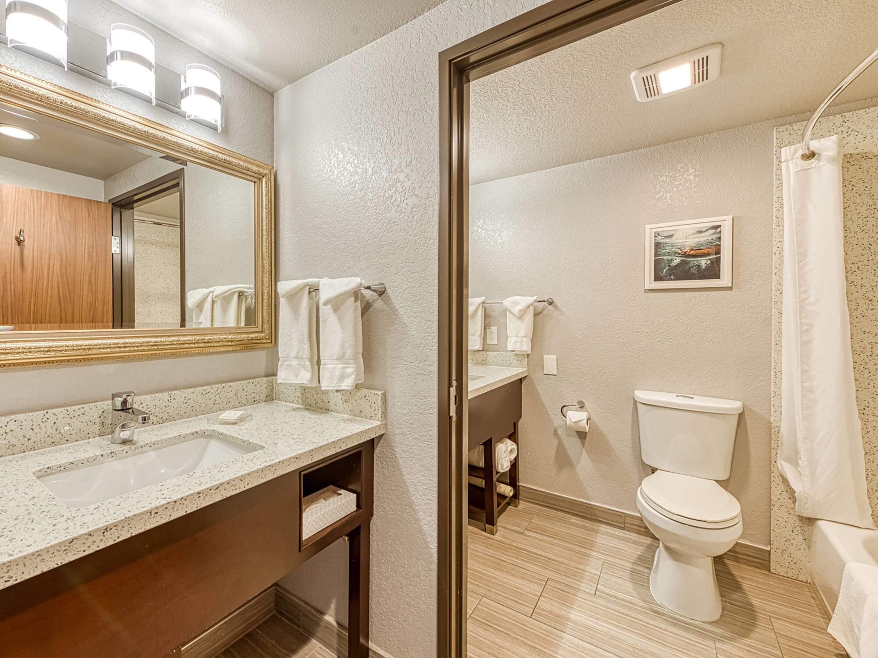A bathroom with a sink, mirror, toilet, and shower curtain.