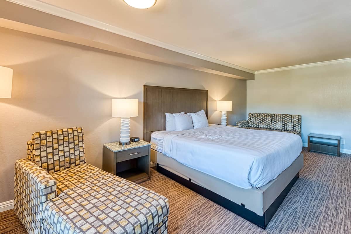 Standard Room, 1 King Bed, Non Smoking, Balcony | Hypo-allergenic bedding, desk, blackout drapes, iron/ironing board