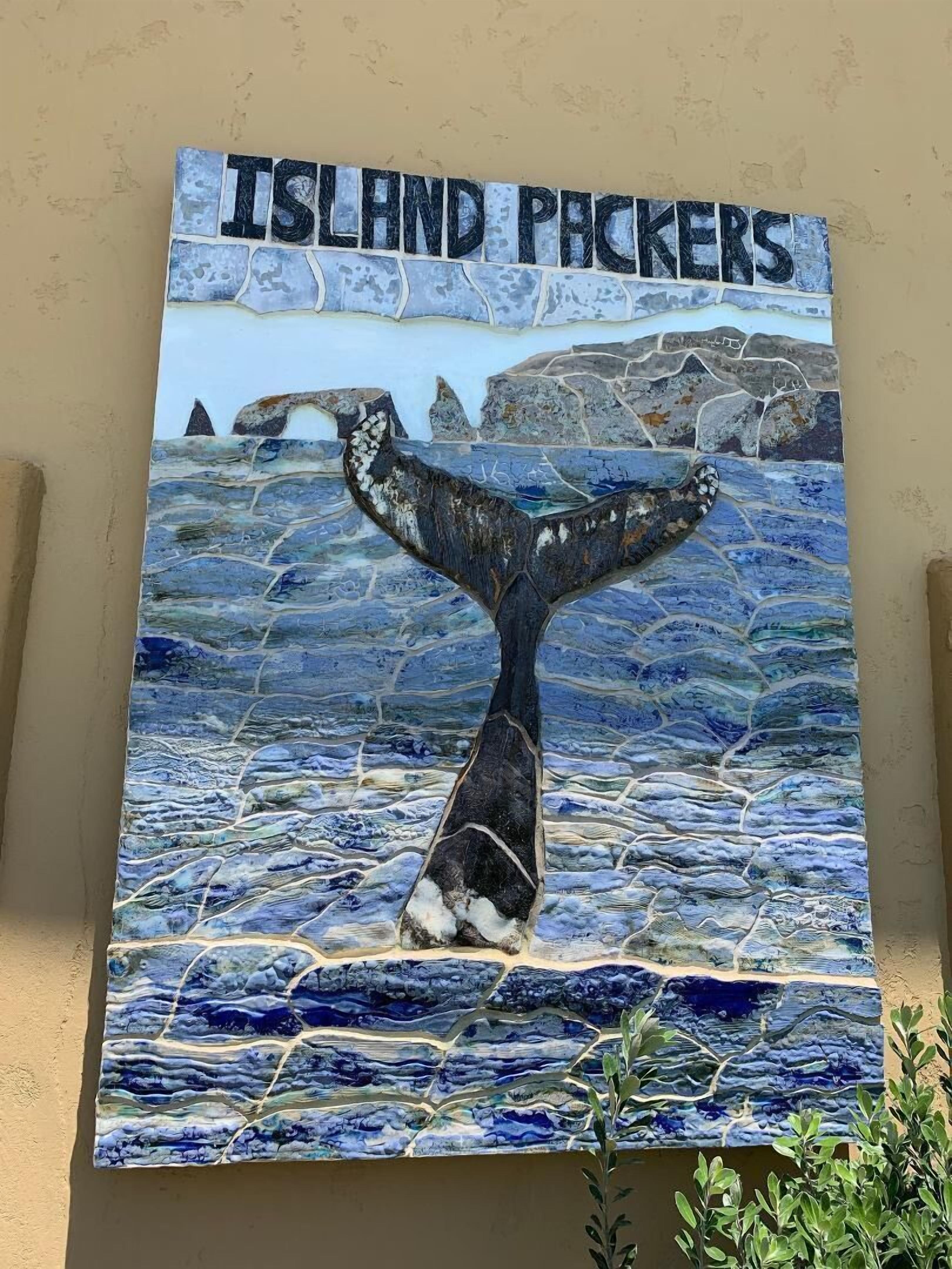 A mural of a whale tail with the text "ISLAND PACKERS" above it.