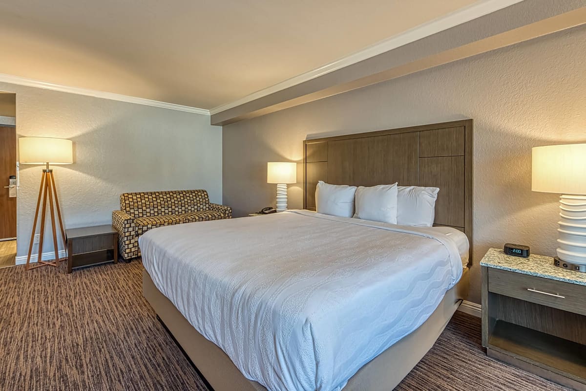 Standard Room, 1 King Bed, Non Smoking | Hypo-allergenic bedding, desk, blackout drapes, iron/ironing board