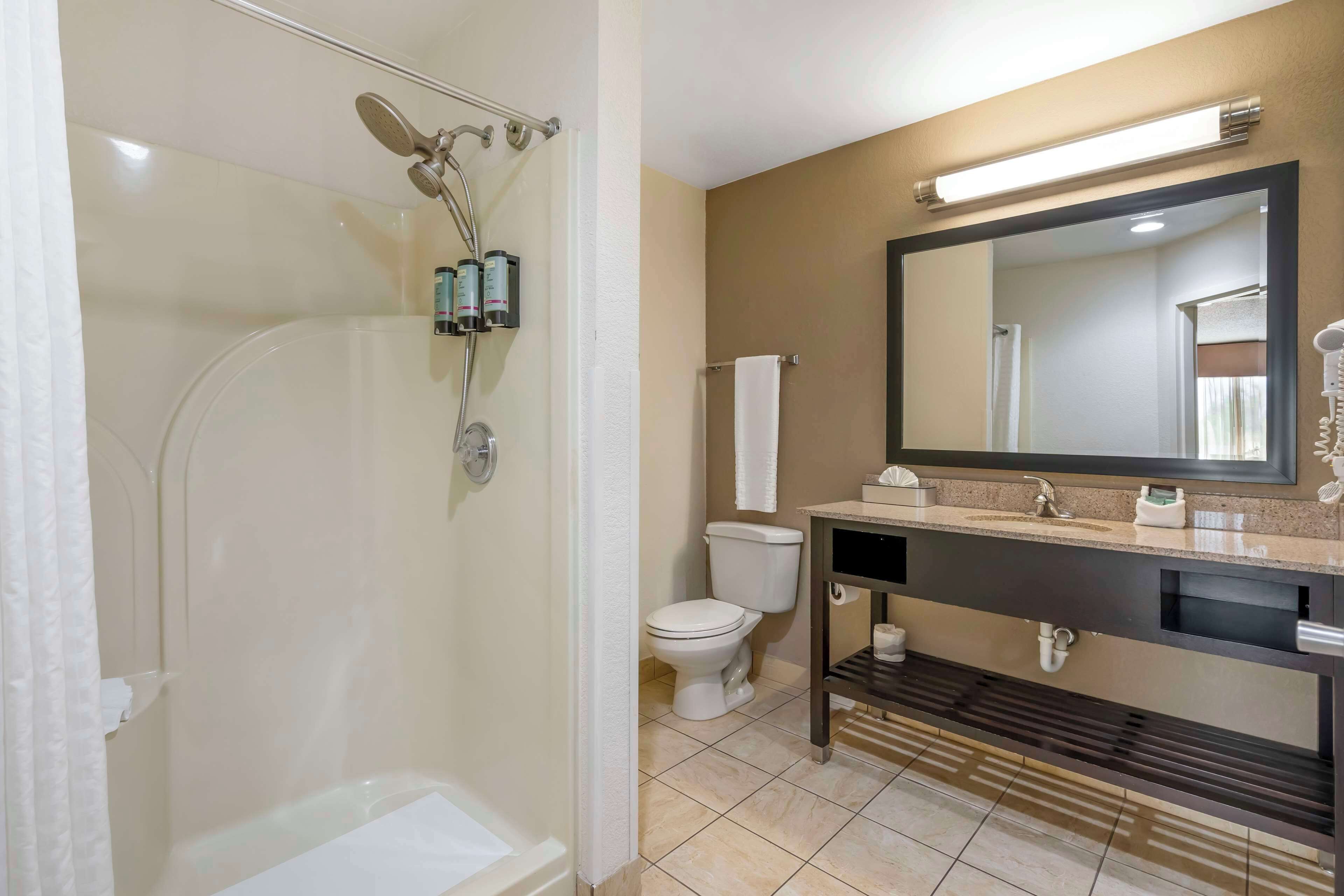 presidential suite, 1 king bed, non smoking, jetted tub (2nd floor;with sofabed) | bathroom | combined shower/bathtub, hydromassage showerhead