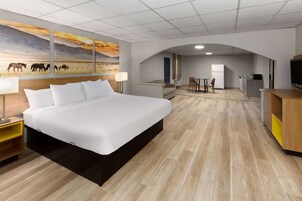 Room, 1 King Bed, Non Smoking (Efficiency) | Desk, iron/ironing board, free WiFi, bed sheets